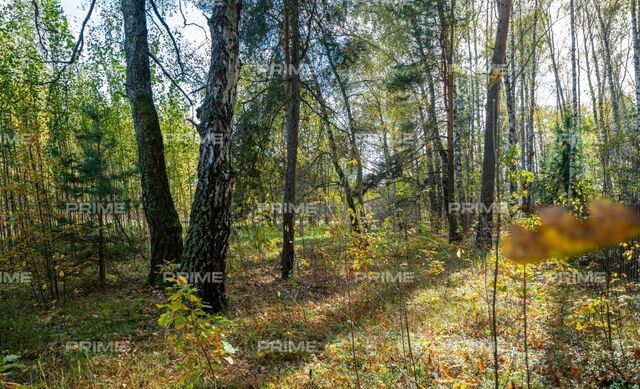 6 км, дачно-строительный кооператив Буран, Красногорск, Рублёво-Успенское шоссе фото