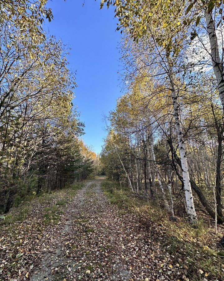 земля г Ревда с Кунгурка сектор Н, Екатеринбург фото 10