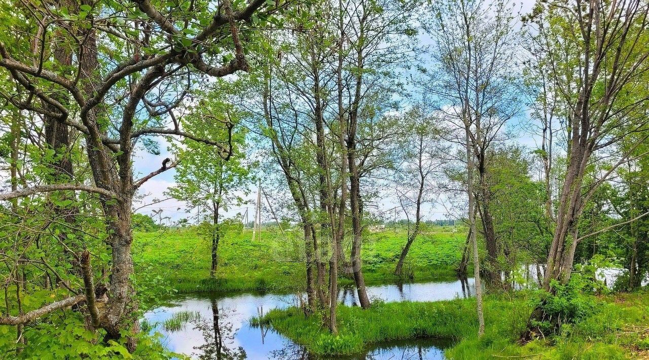 земля р-н Зеленоградский г Зеленоградск Арт Баден Парк кп фото 5