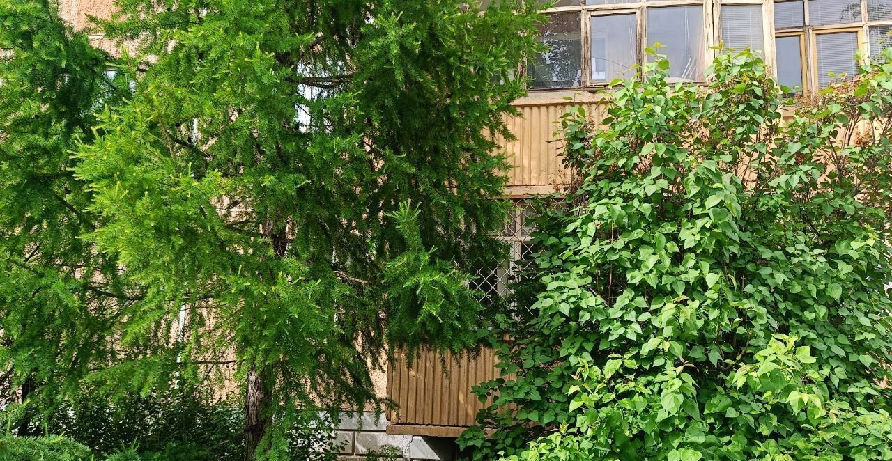 квартира г Оренбург р-н Центральный ул Терешковой 10/6 фото 10