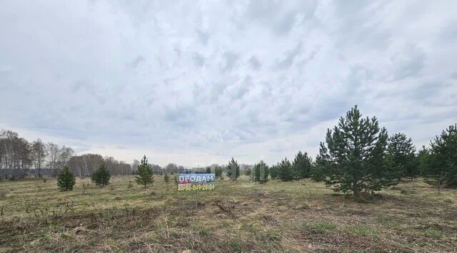 Солнечная Поляна кп, Белоярский муниципальный округ фото