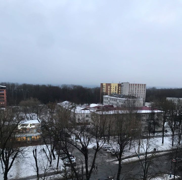 квартира г Брянск р-н Советский Бежицкая ул., 1к 4 фото 18