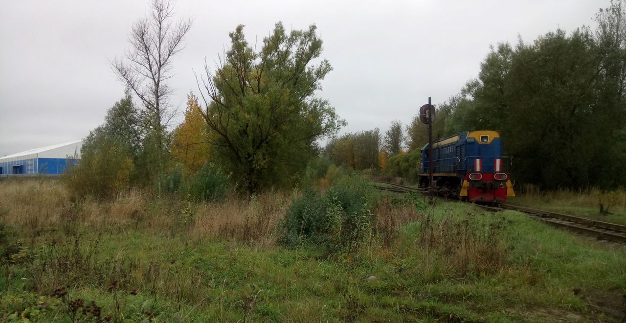 земля г Пушкин р-н Пушкинский тер Сергиево 15 км, Красносельское шоссе фото 2