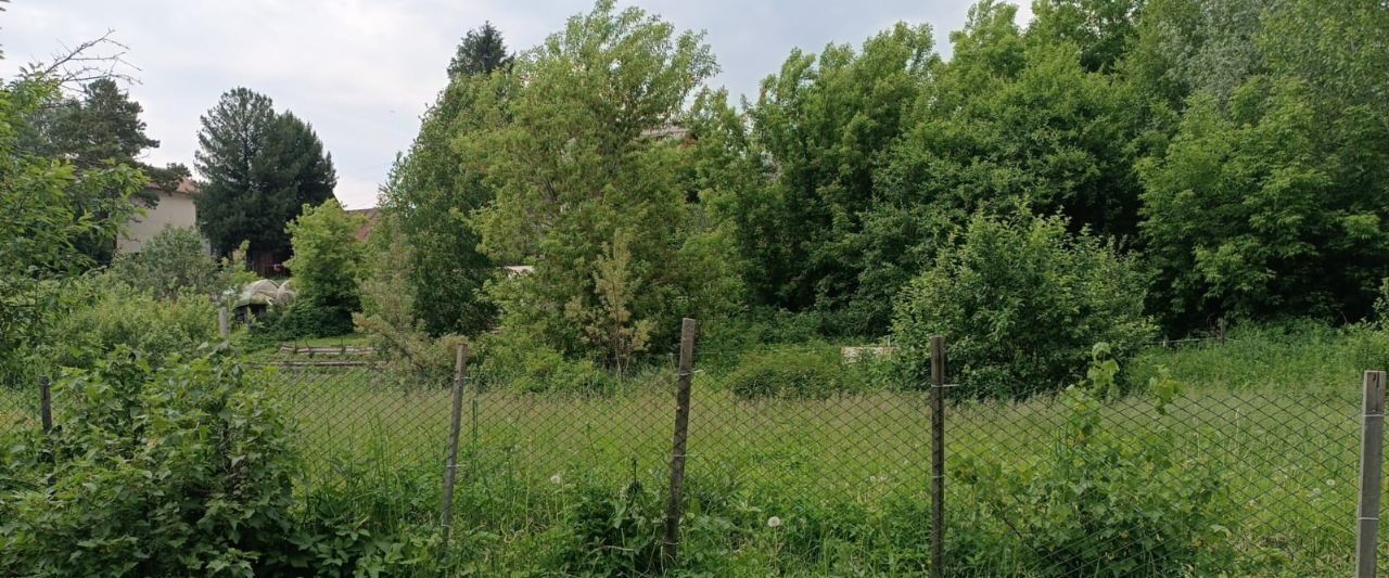 дом г Новосибирск р-н Дзержинский Берёзовая роща снт Березовая Роща фото 6