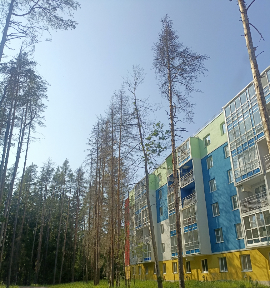 квартира г Зеленогорск ул Строителей 3/2 фото 1