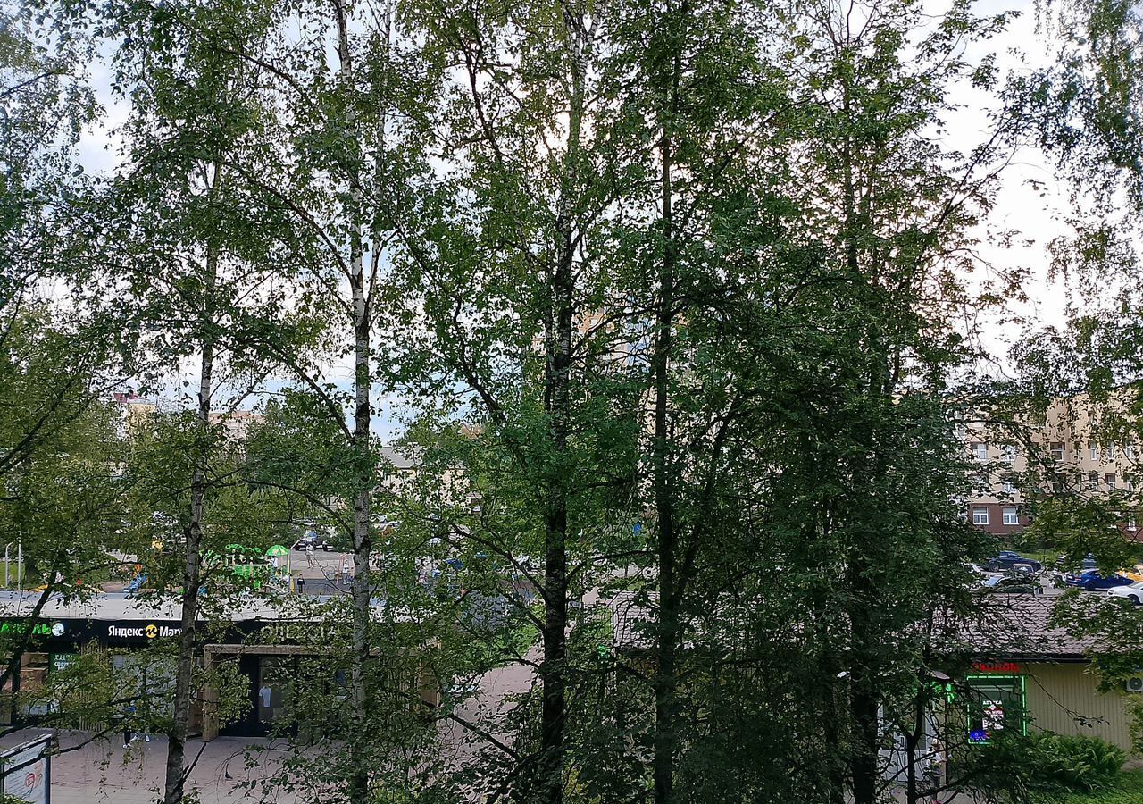 квартира г Солнечногорск пр-кт Сенежский 2 фото 12