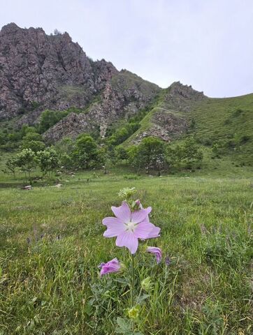 с Былым Тырныауз фото
