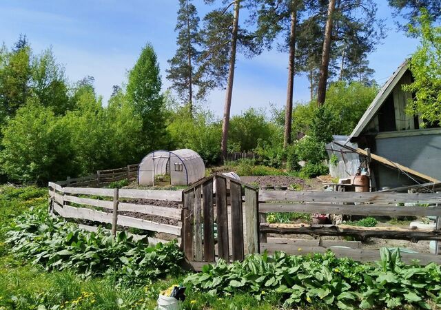 земля п Таргайский дом отдыха ул Лесная 21б Кемеровская обл. — Кузбасс, Калтан фото