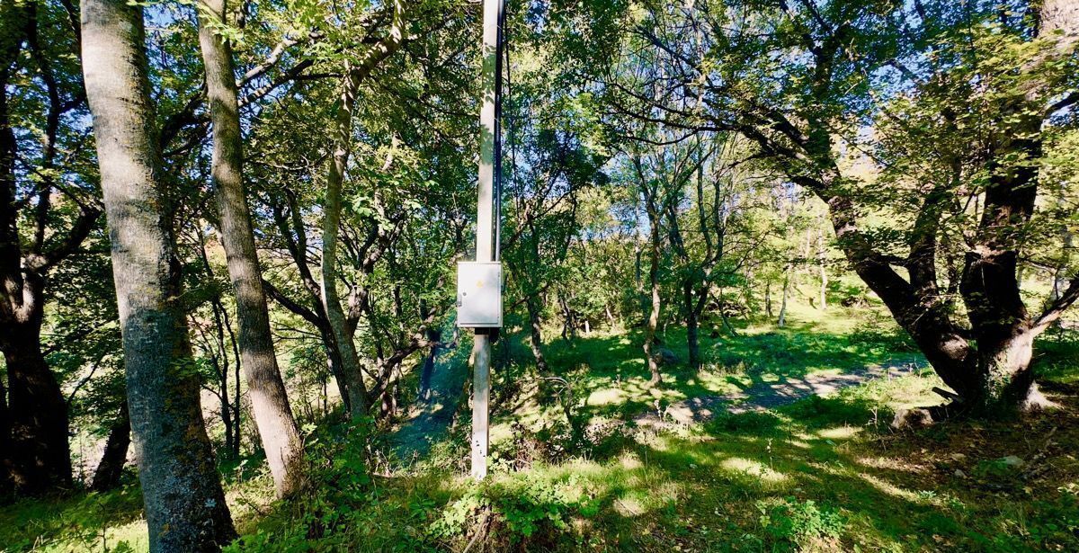 земля г Алушта с Лучистое 1 фото 12