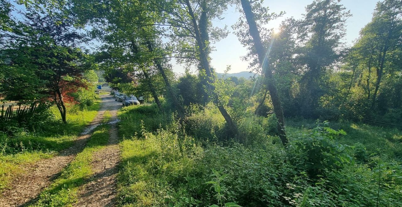 земля г Сочи р-н Лазаревский с Верхнее Учдере снт Красная горка фото 3