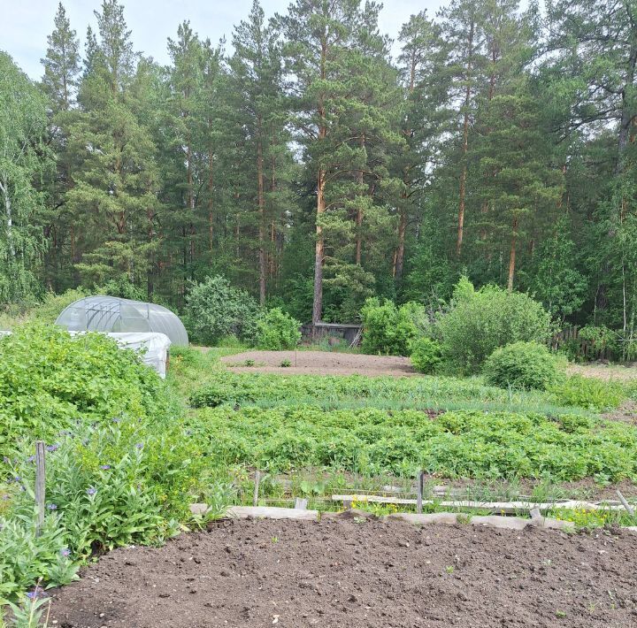земля р-н Режевской г Реж Медуница КС фото 1