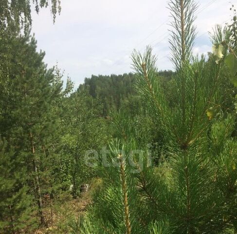 Исеть Вилладж кп фото