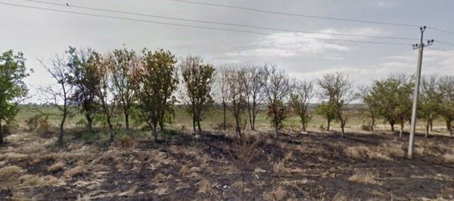п Таманский ул Черноморская 52 Новотаманское с/пос фото