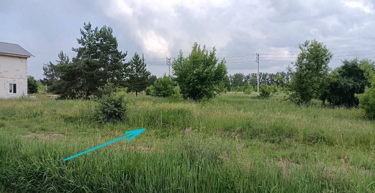 земля г Барнаул с Лебяжье п Бельмесево ул Окольная 31 р-н Центральный фото 4