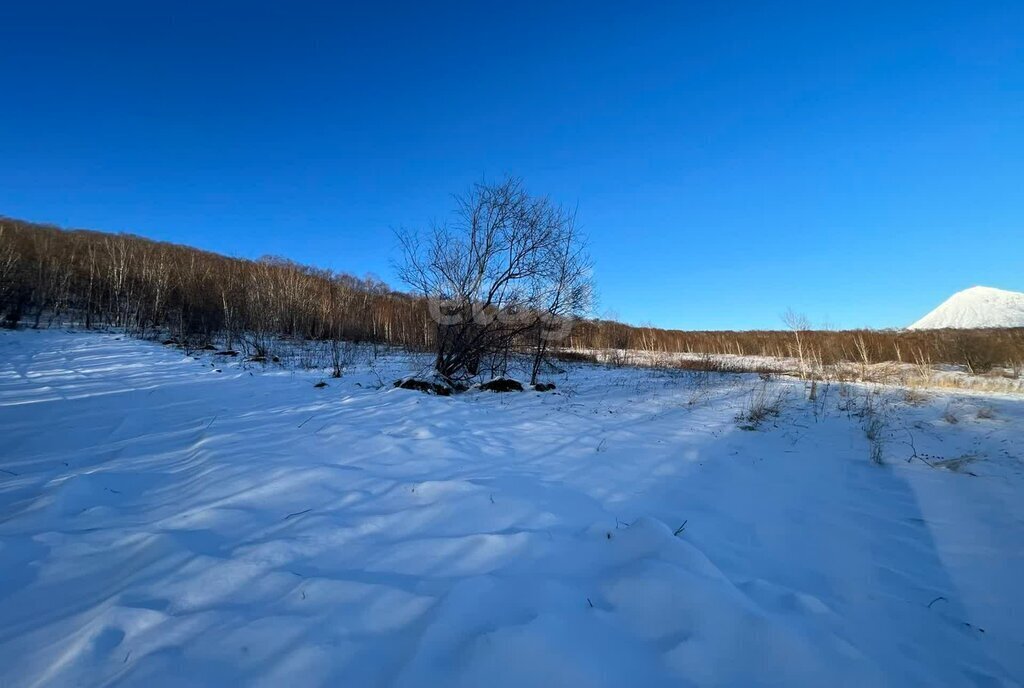 земля р-н Елизовский г Елизово микрорайон Садовый фото 3