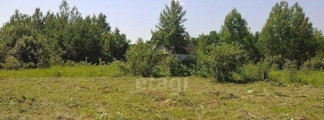 земля г Горячий Ключ снт Кунпанова поляна фото 3