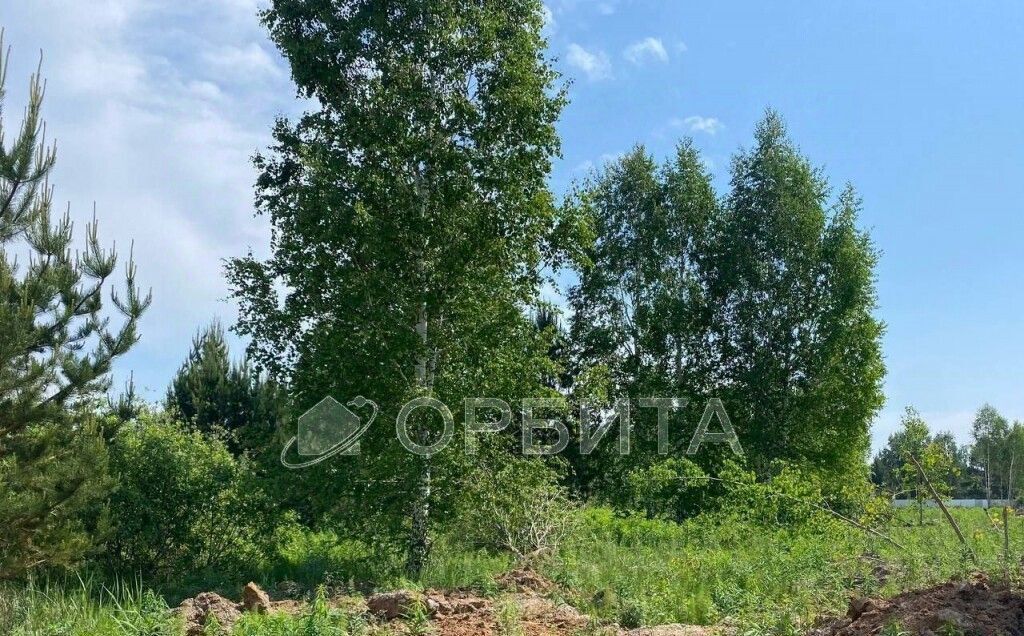 земля г Тюмень р-н Центральный тракт Велижанский 13 7-й км фото 3