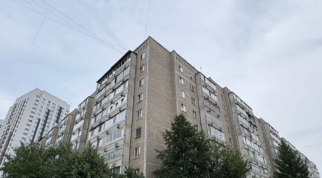 Динамо ул Советская 62 фото