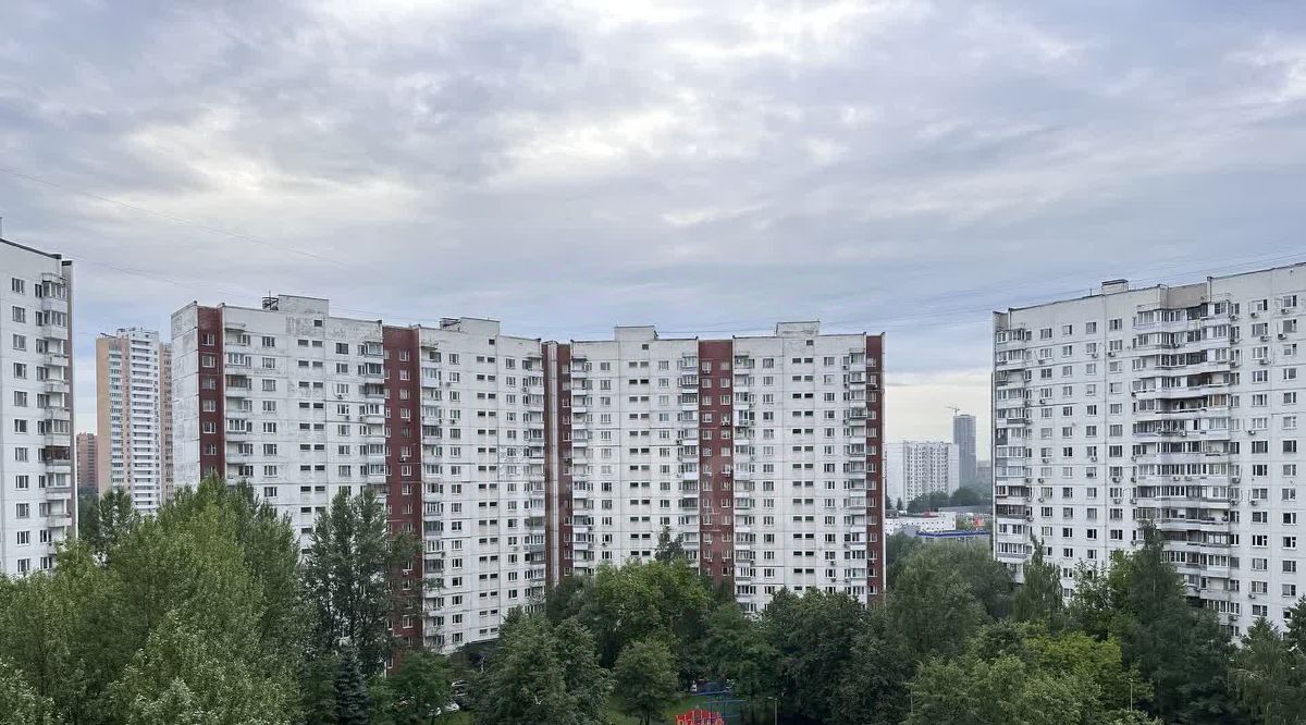 квартира г Москва метро Проспект Вернадского ул Раменки 25к/2 фото 29