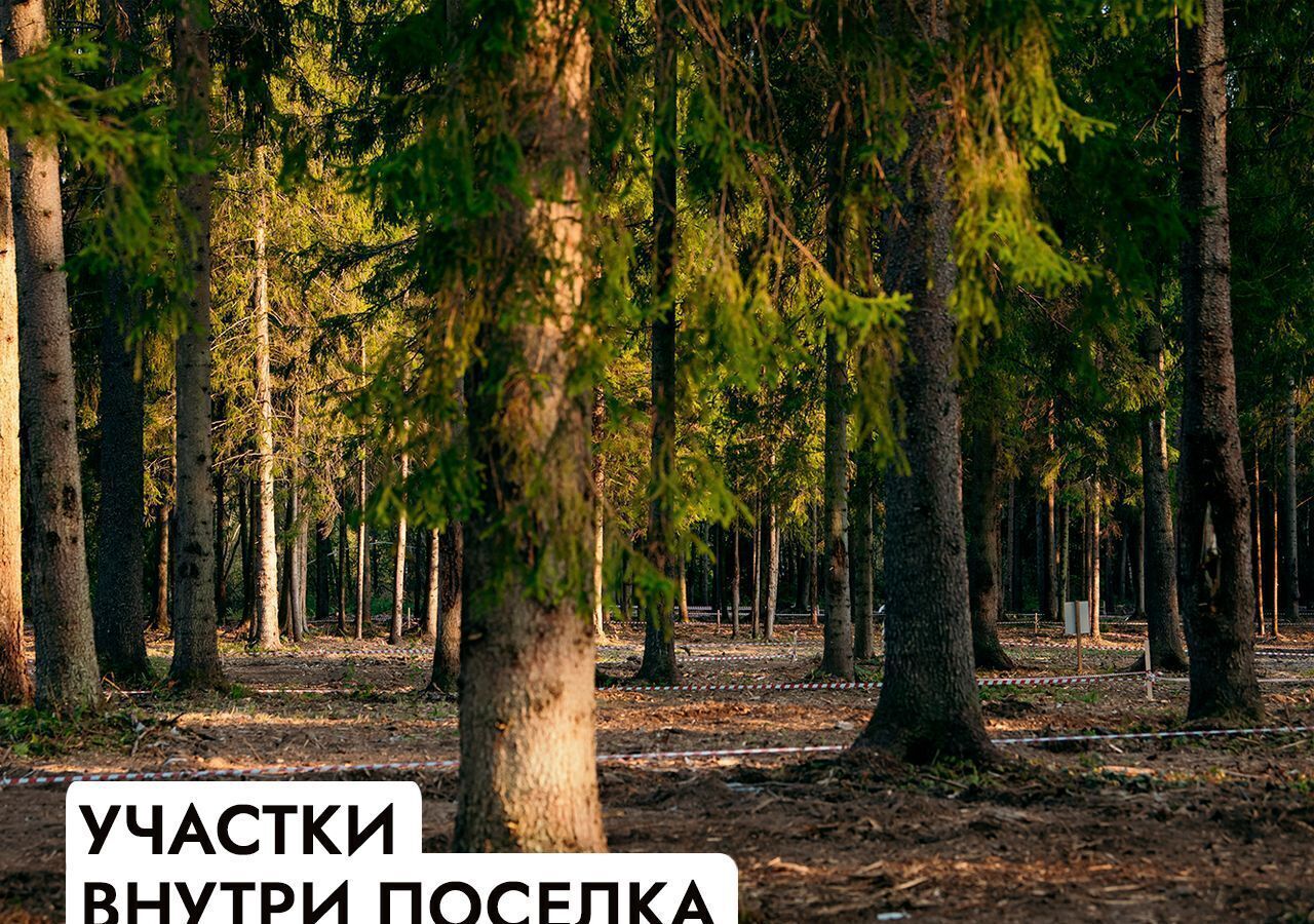 земля г Клин 54 км, эко-посёлок Ели эстейт, Новопетровское, Ленинградское шоссе фото 18