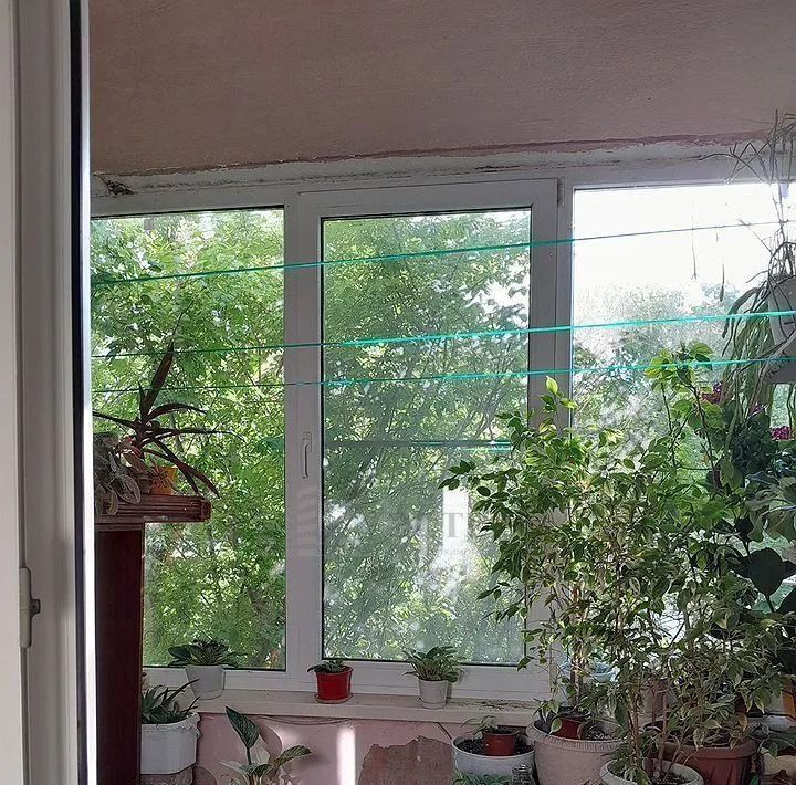 квартира г Геленджик ул Орджоникидзе 7 Центр фото 10