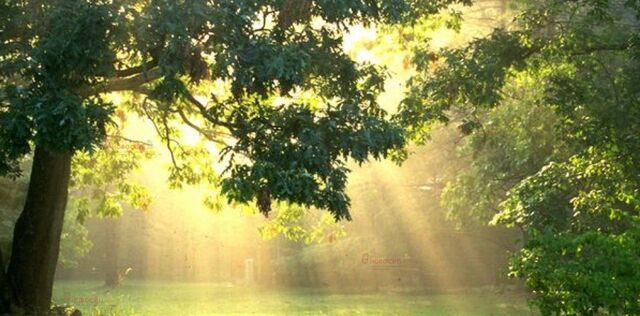 ул Лесная 7 фото ул Лесная 7 фото