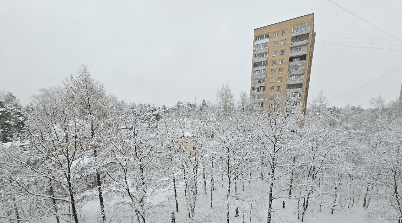 квартира г Дубна ул Московская 12 фото 14