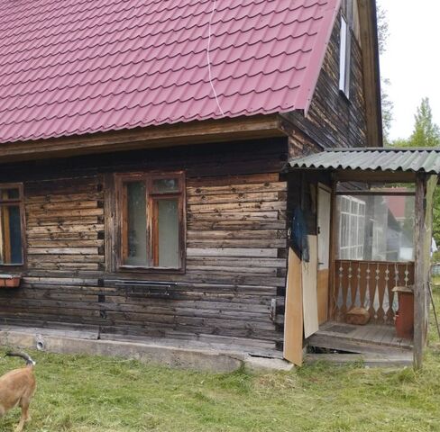 «Скандинавия», Каменка фото