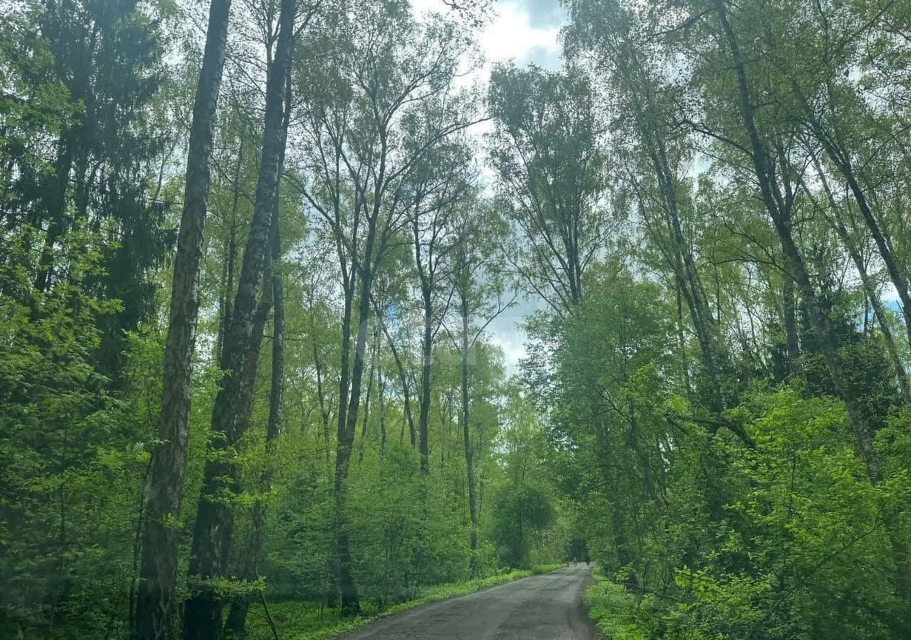 земля городской округ Богородский г Старая Купавна 25 км, 243, СНТ Ёлочка, Горьковское шоссе фото 8