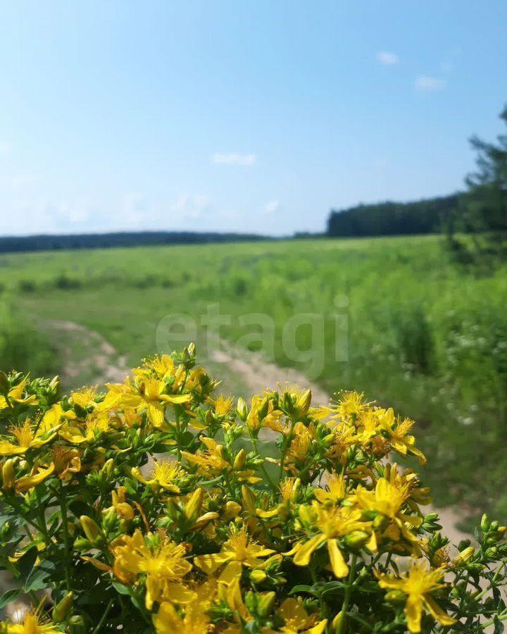 земля г Бор с Линда д. Дроздово фото 2
