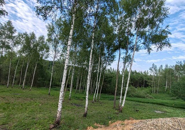 64 км, 33, Вербилки, Дмитровское шоссе фото