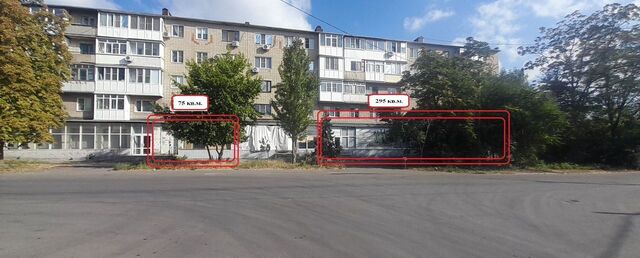 свободного назначения пер Веселый 55 фото