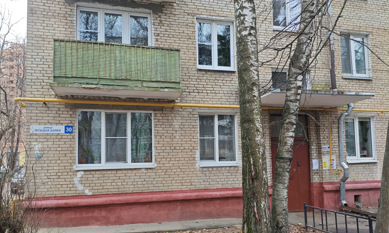 квартира г Мытищи ал Яузская 30 20-й м-н, аллея фото 17