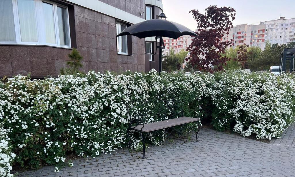 квартира г Брянск Московский 60 фото 38