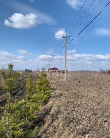 ул Лихачева Кемеровская обл. — Кузбасс фото