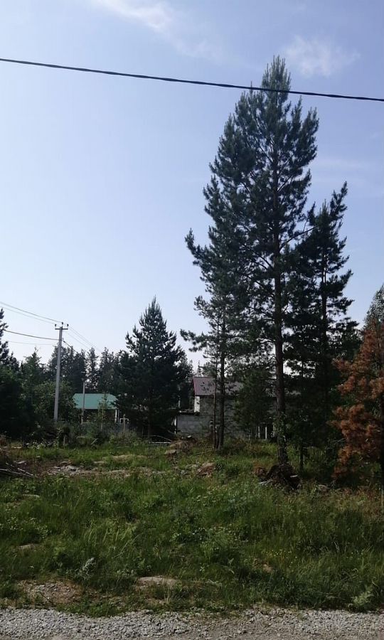 земля г Верхняя Пышма п Кедровое ул Сиреневая Старотагильский тракт, 20 км, Среднеуральск фото 3