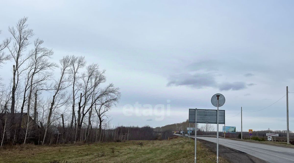 земля г Белокуриха ул Брусничная фото 2