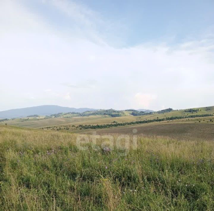 земля г Бийск фото 4