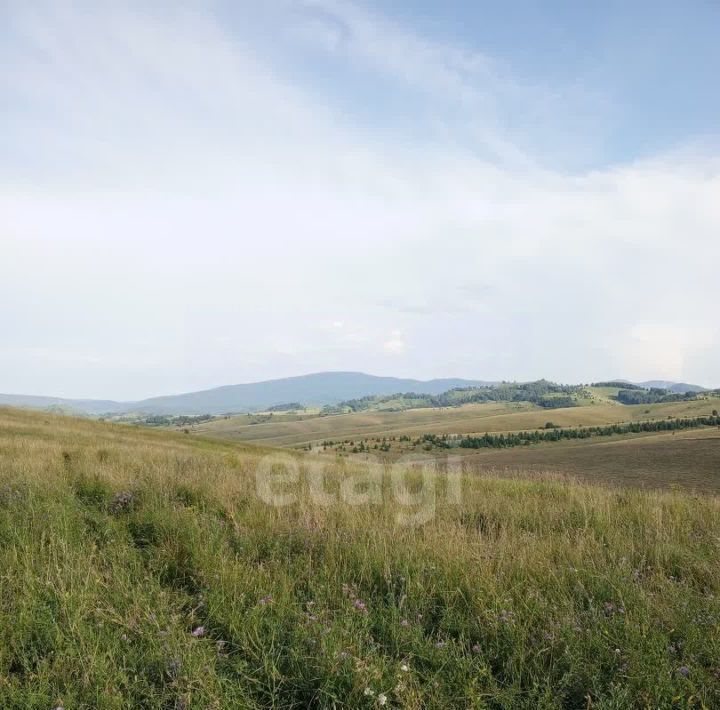 земля г Бийск фото 3