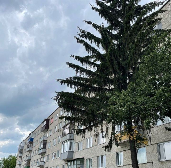 квартира г Пенза городок Военный р-н Первомайский 146 фото 1