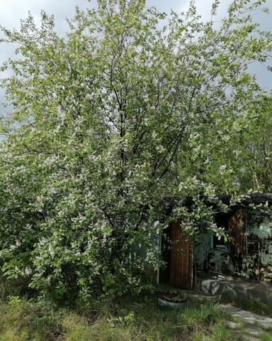 пр-кт Пионерский 255/2к 5 Витязево фото