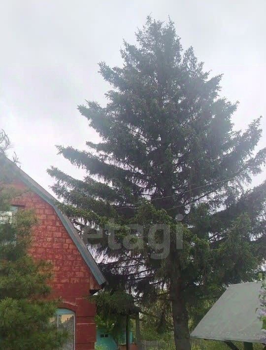 дом г Омск р-н Ленинский снт Заветы Мичурина аллея 13-я, 21 фото 16