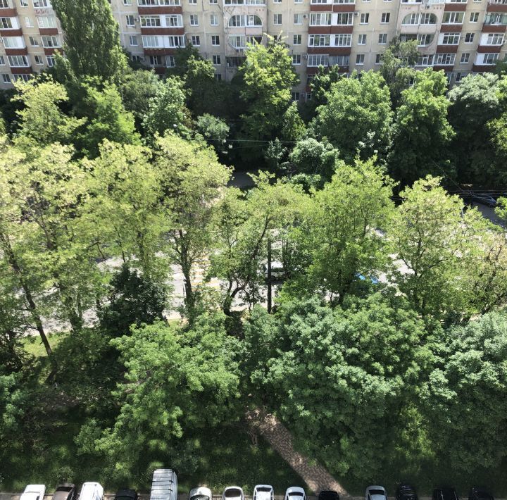 квартира г Ставрополь р-н Промышленный Юго-Западный ул Пирогова 5/1 фото 11