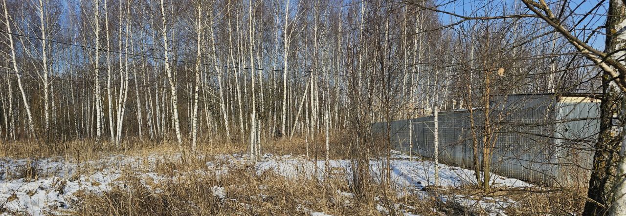 земля г Луховицы ул Рябиновая фото 1