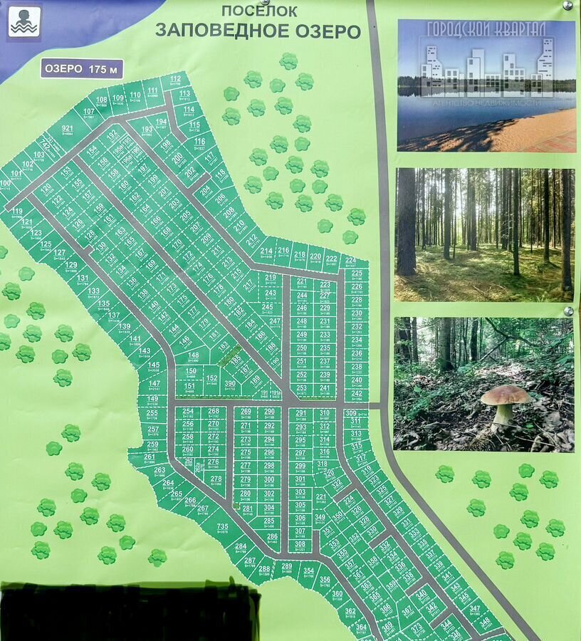 земля городской округ Клин г Высоковск 82 км, д. Дятлово, г. о. Клин, Ленинградское шоссе фото 12