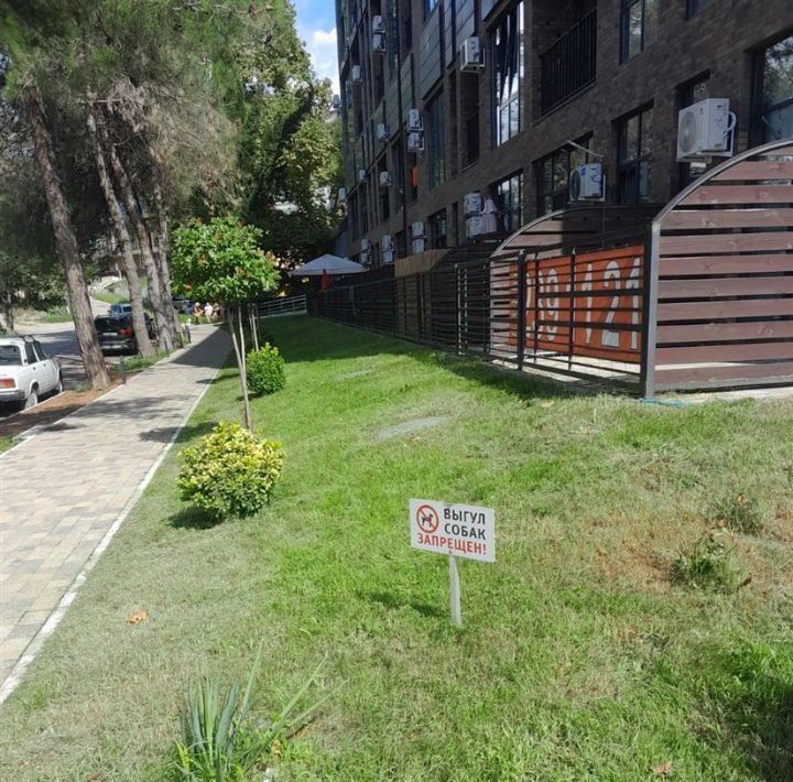 квартира г Сочи р-н Центральный ул Виноградная 207 фото 20