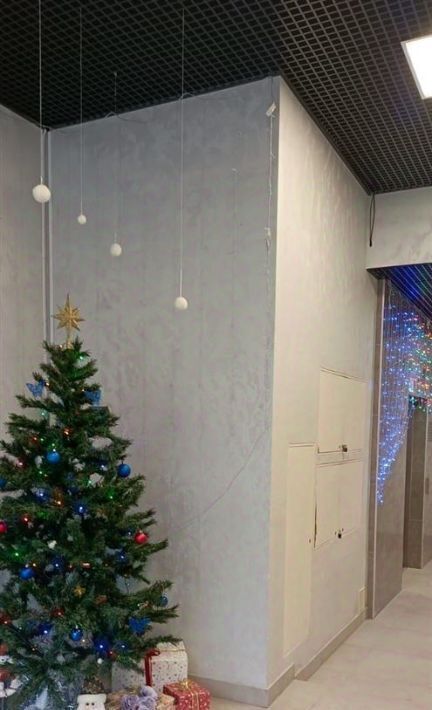 квартира г Сочи р-н Центральный ул Виноградная 207 фото 27