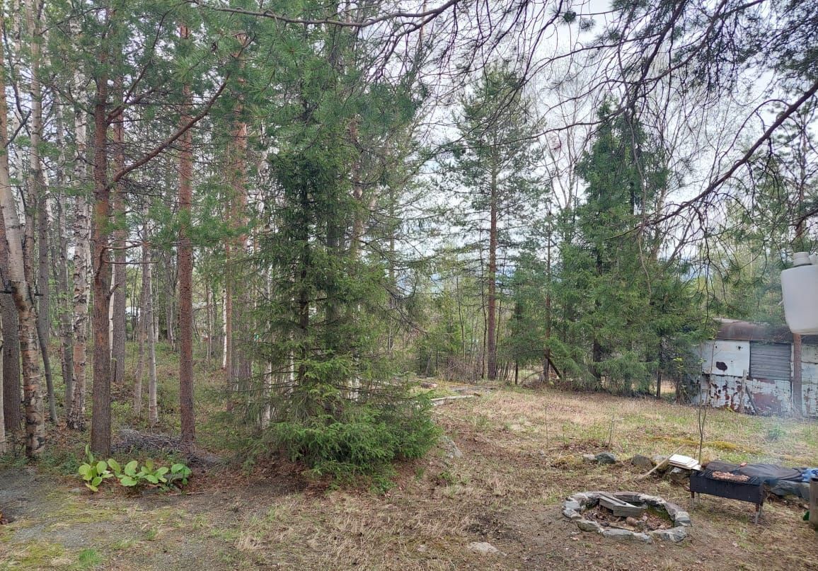 дом г Мончегорск снт Мечта садоводческий массив района Риж-Губы фото 3