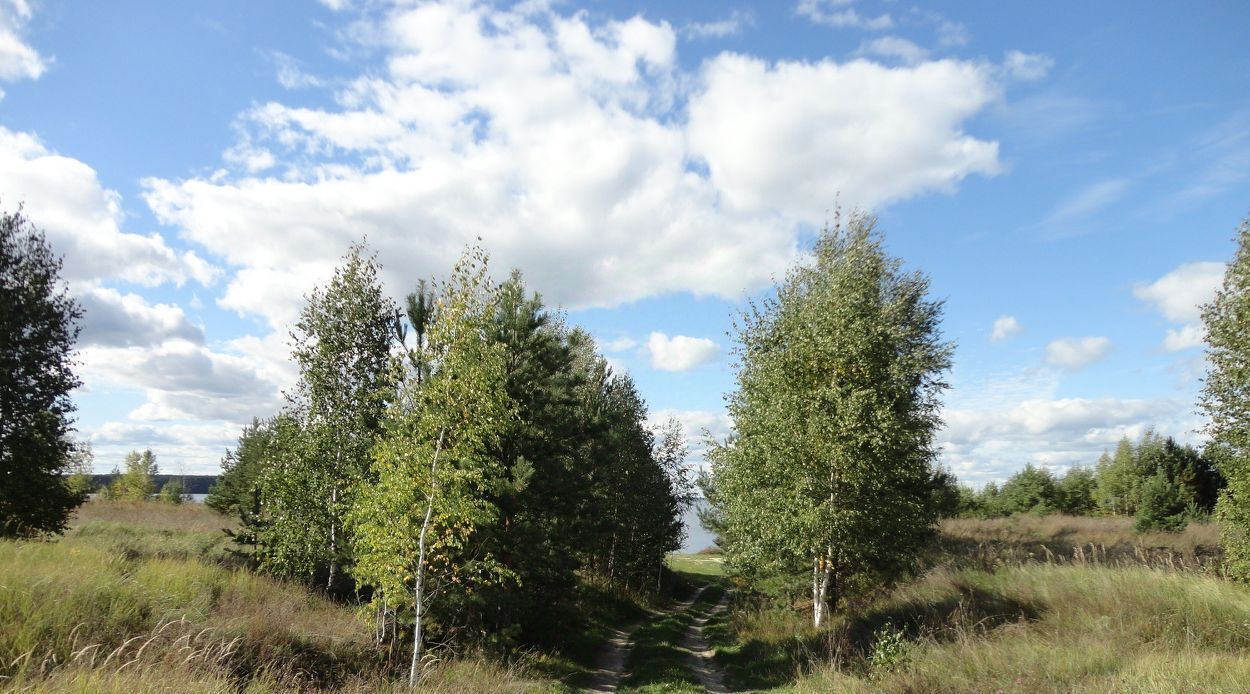 земля р-н Городецкий г Городец фото 4