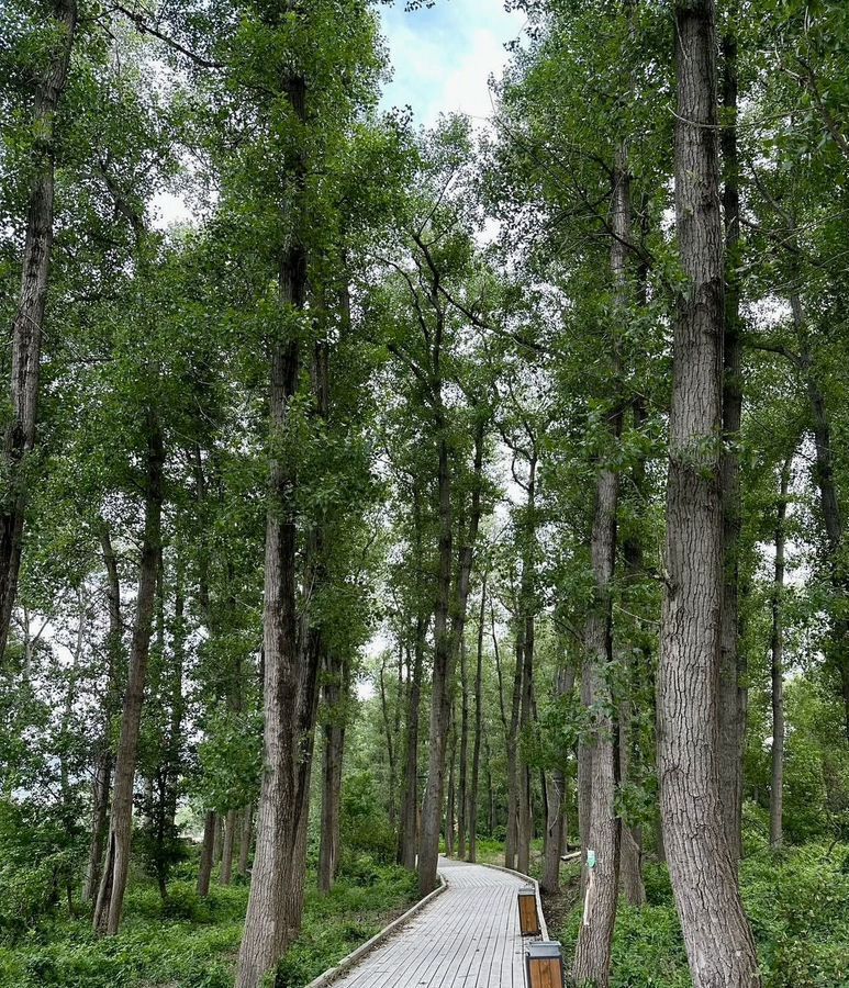 квартира г Махачкала р-н Кировский Благородная ул., 17 фото 15